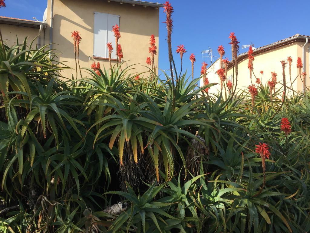 Le Melody Apartment Antibes Exterior photo